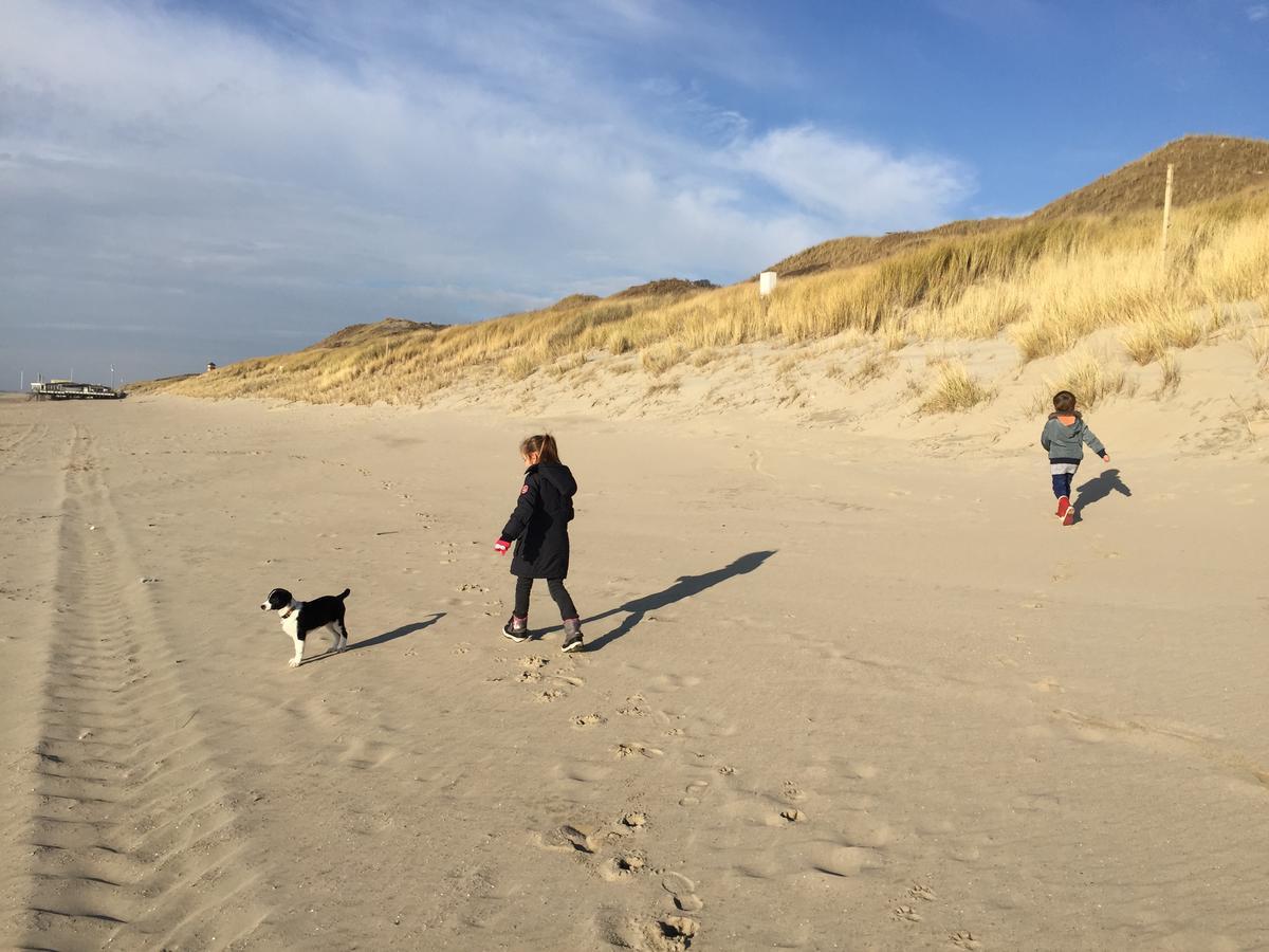 Strandappartement De Ark Zoutelande Eksteriør bilde